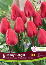 Load image into Gallery viewer, Bulbs, Tulips, Cherry Delight
