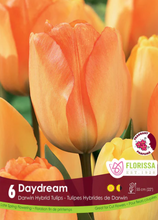 Load image into Gallery viewer, Bulbs, Tulip, Daydream
