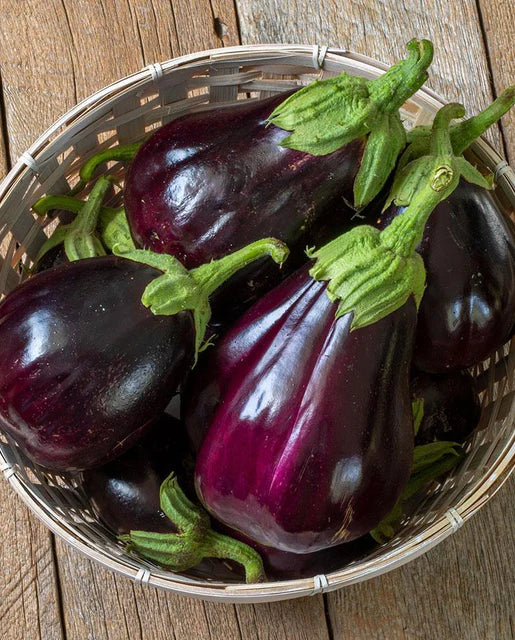 Eggplant Black Beauty Certified Organic