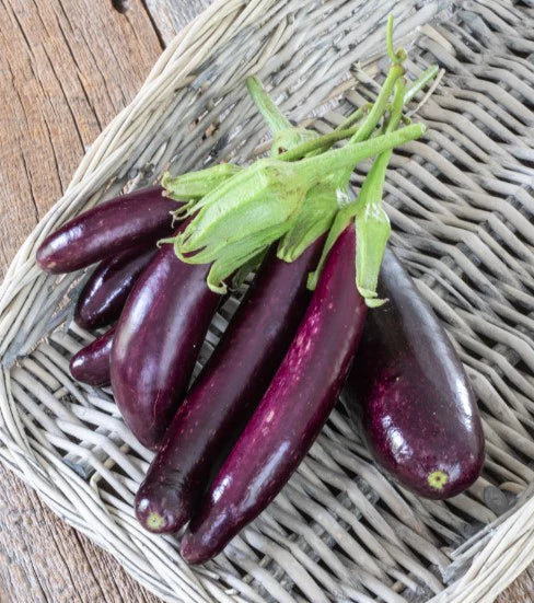Eggplant Seeds Little Finger Certified Organic