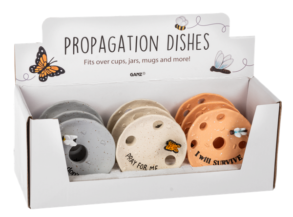 Punny Plants - Propagation Dish in Display