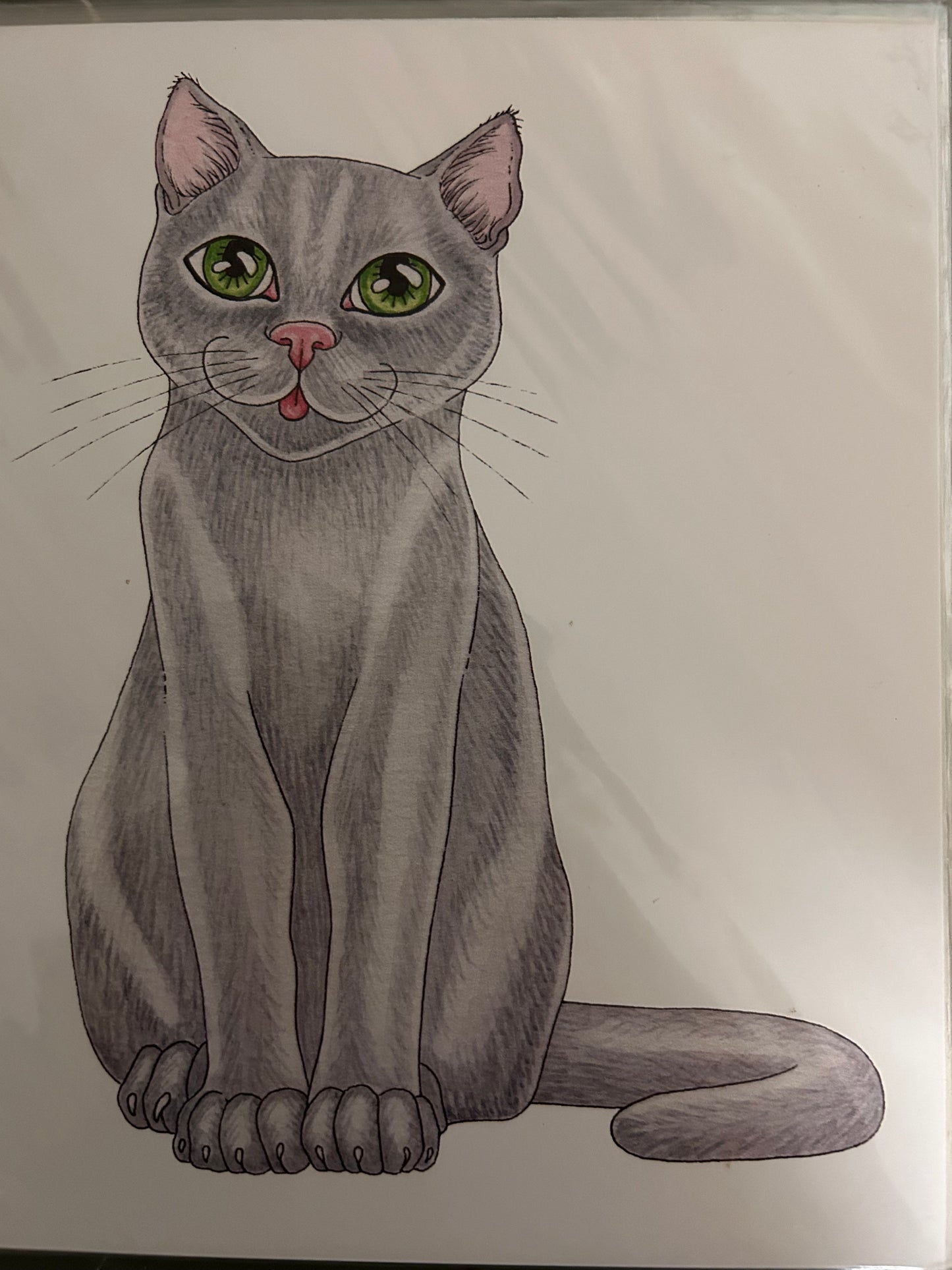 Art Print Cat 8 x 10