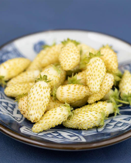 Yellow Wonder Alpine Strawberry Seeds