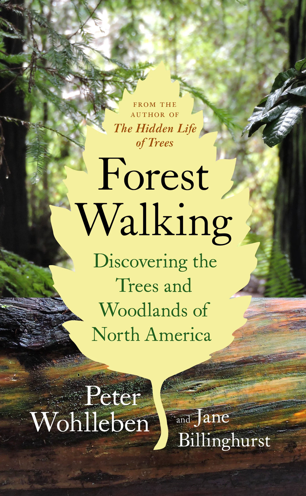 Forest Walking: Discovering the Trees and Woodlands of North America by  Peter Wohlleben & Jane Billinghurst