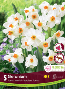 Bulbs, Narcissus, Geranium