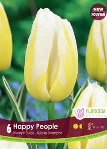 Bulbs, Tulip, Happy People