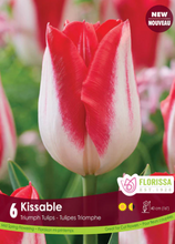 Load image into Gallery viewer, Bulbs, Tulip, Kissable
