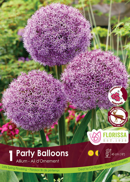 Allium Party Balloons 1/pk