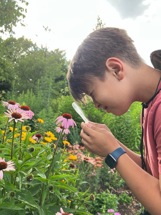 Nature Quest Camp - July 7-11 2025