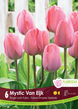 Load image into Gallery viewer, Bulbs, Tulip, Mystic Van Eijk
