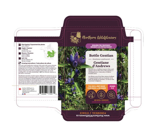 Seeds Bottle Gentian