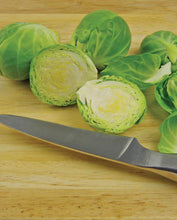 Load image into Gallery viewer, Brussels Sprouts Nautic Coated Brussels Sprouts
