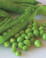 Load image into Gallery viewer, Shelling Peas Green Arrow
