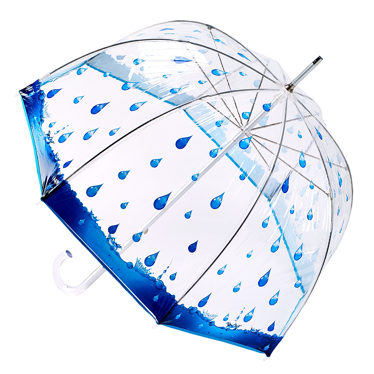 Rainy Days Bubble Umbrella