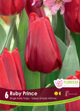 Load image into Gallery viewer, Bulbs, Tulip, Ruby Prince

