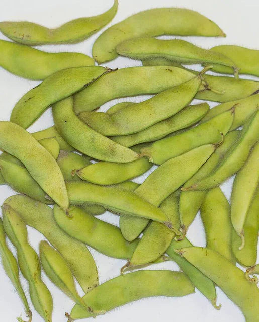 Bean Soya Beans Kuroshinju Edamame