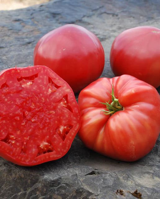 Mortgage Lifter Organic Tomato Seeds