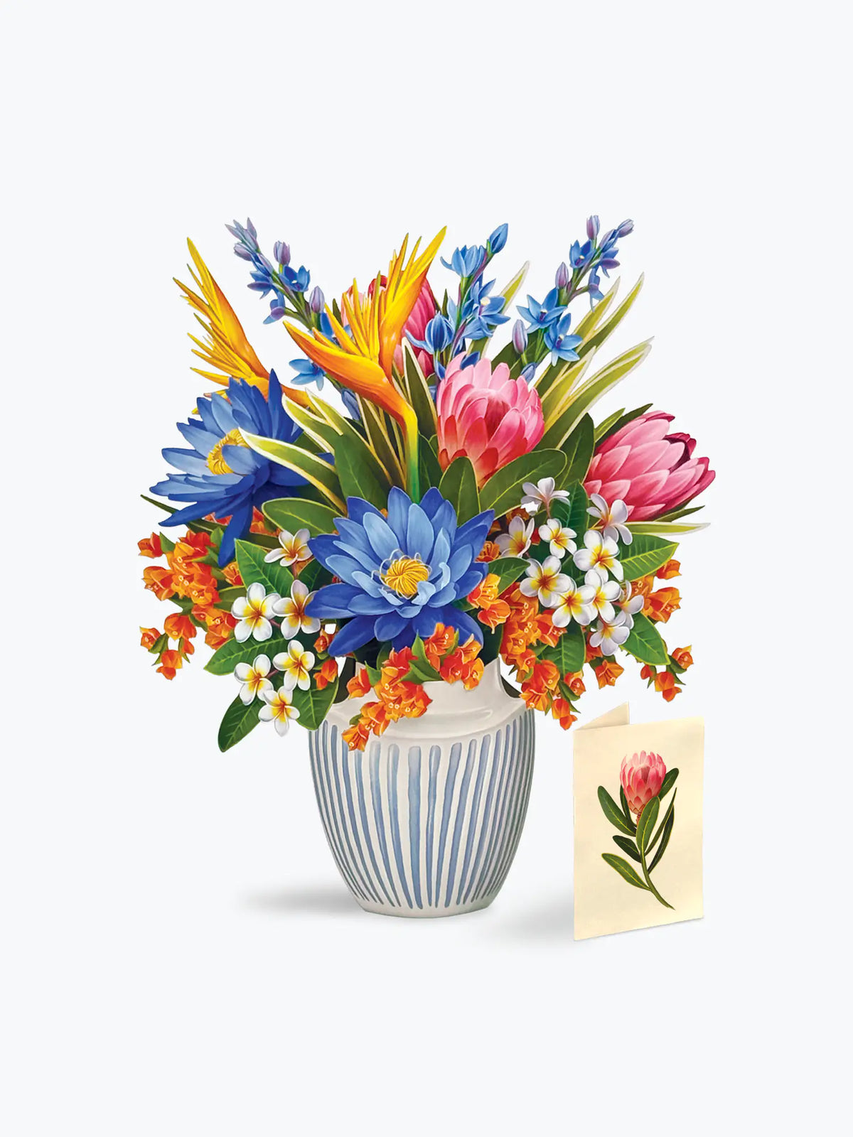 POPUP Greeting Card Tropical Paradise