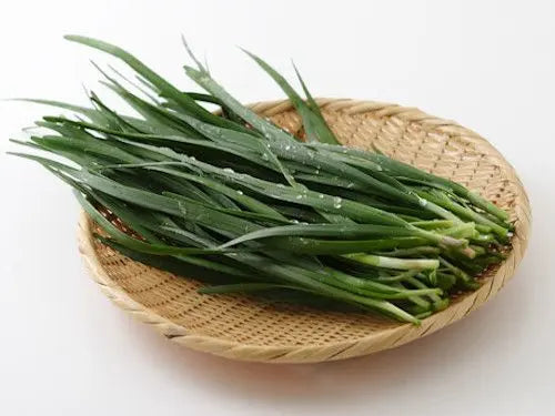 Nira Chives Seeds