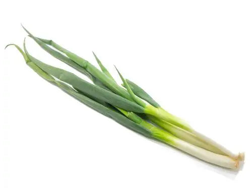 Kujo Negi Onion Seeds