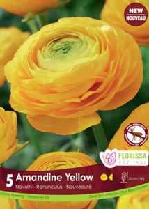 Bulbs, Ranunculus, Amandine Yellow