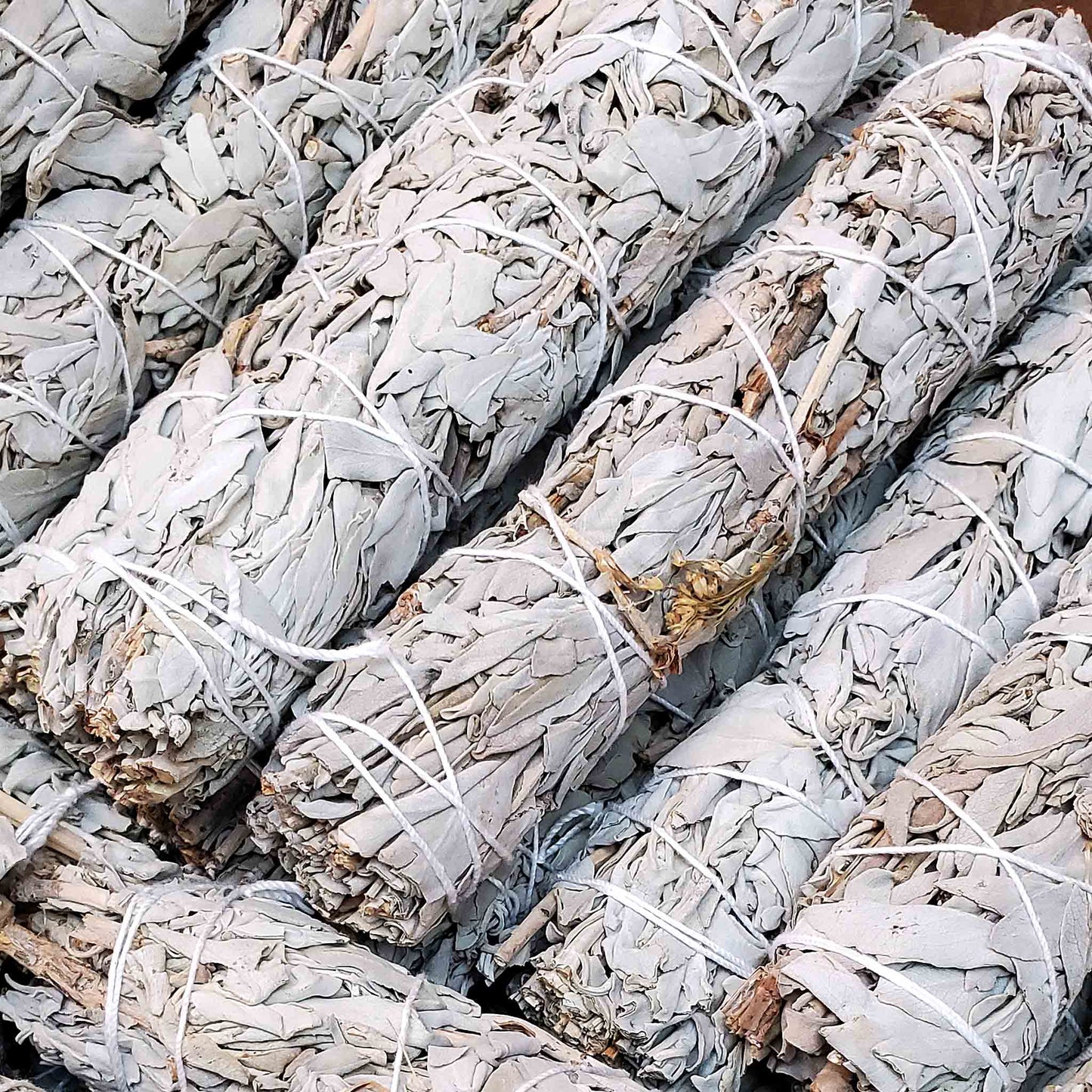 Monague Indigenous Crafts & Gifts - 24-piece Bulk Smudges: Small Cedar