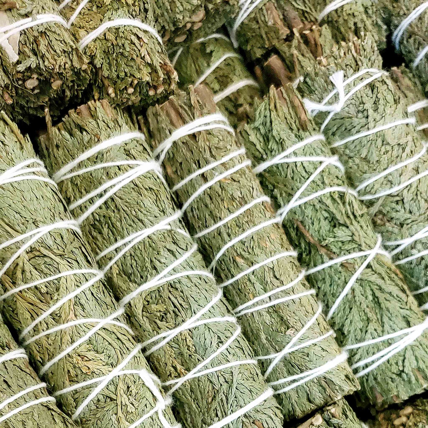 Monague Indigenous Crafts & Gifts - 24-piece Bulk Smudges: Small Sage