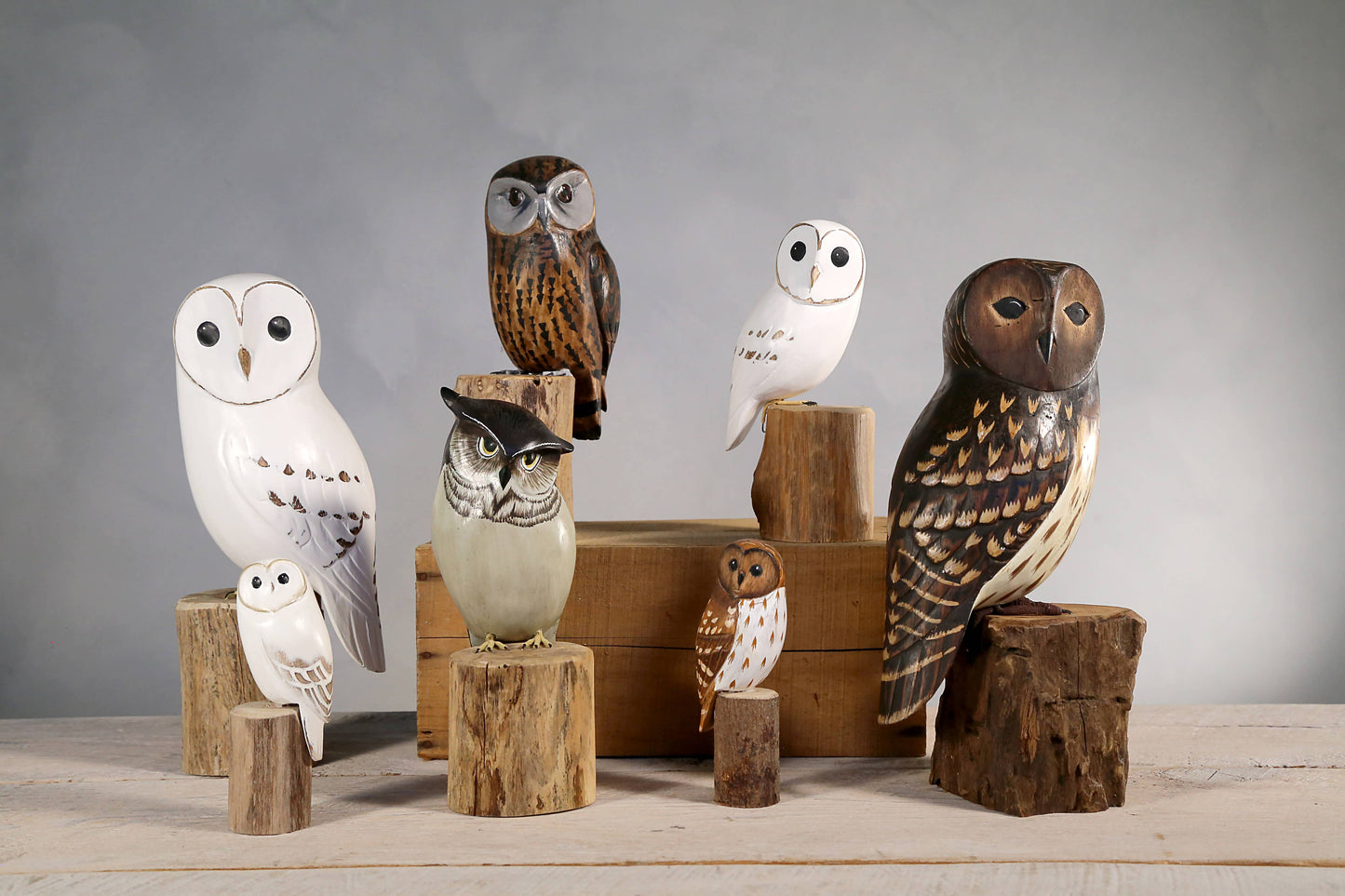 Aviologie - Hanging Barred Owl | Hand Carved Ornament | 4.5"H