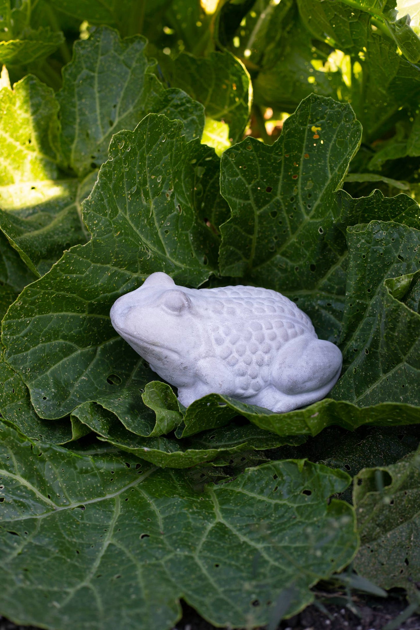 Bacon Basketware - CEMENT FROG: Cement