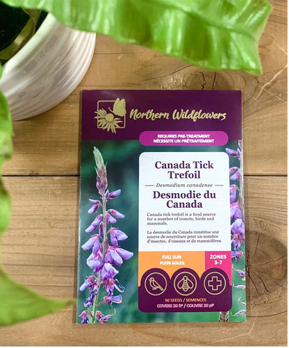 Canada Tick Trefoil
