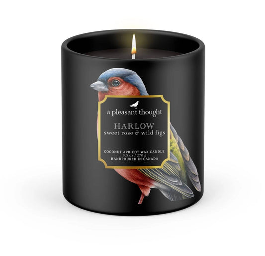 A Pleasant Thought - HARLOW | SWEET ROSE & WILD FIGS | RAVEN CANDLE: Cotton