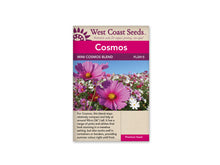 Load image into Gallery viewer, Flower Cosmos Mini Blend
