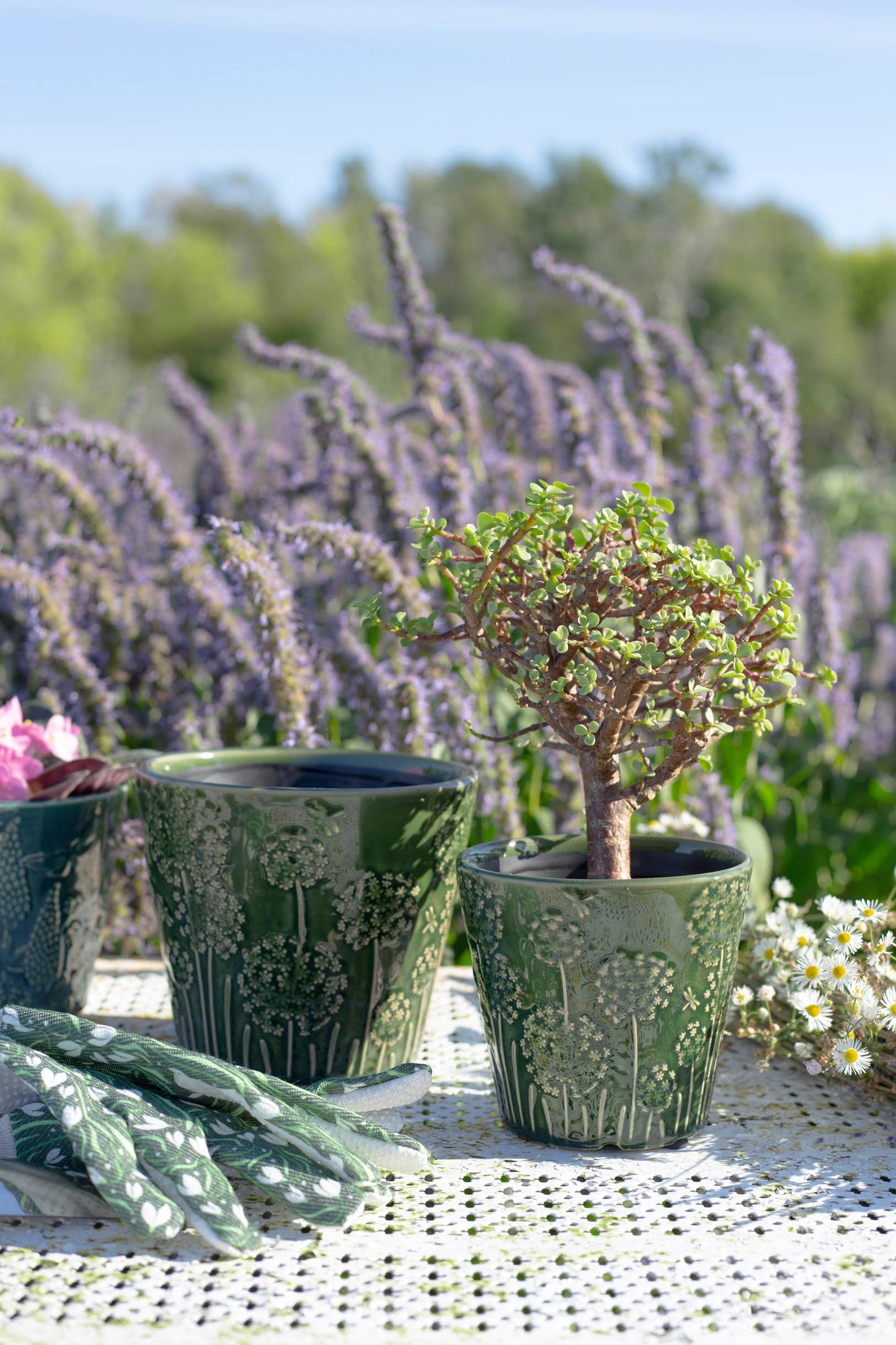 Bacon Basketware - DARK GREEN EMBOSSED CERAMIC POT SMALL: Ceramic