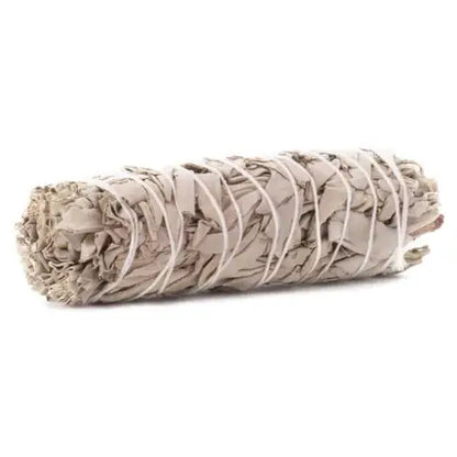 White Sage 4 inch