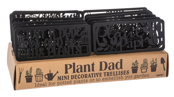 Plant Dad Mini Decorative Trellises in Display
