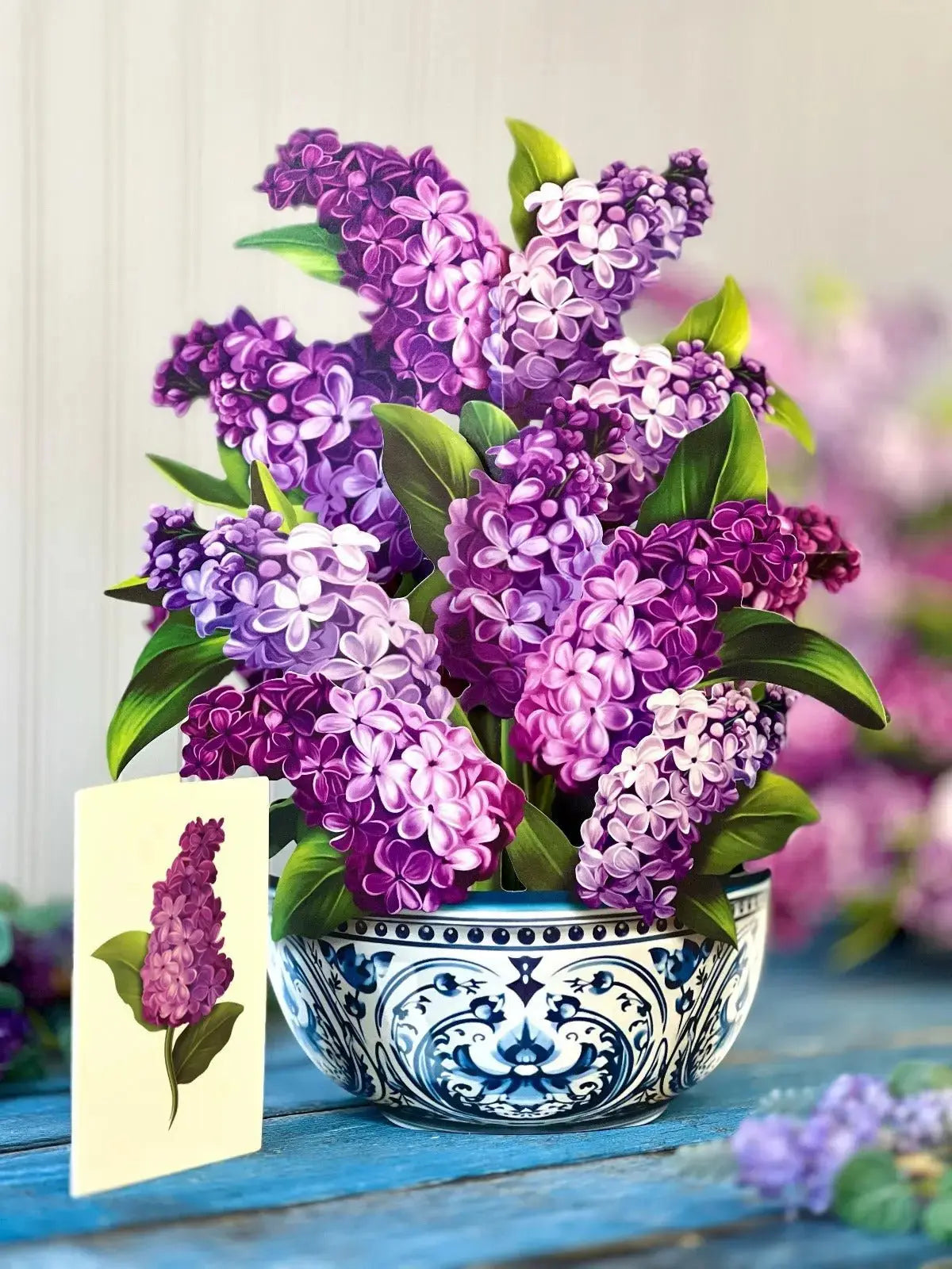 POPUP Garden Lilacs