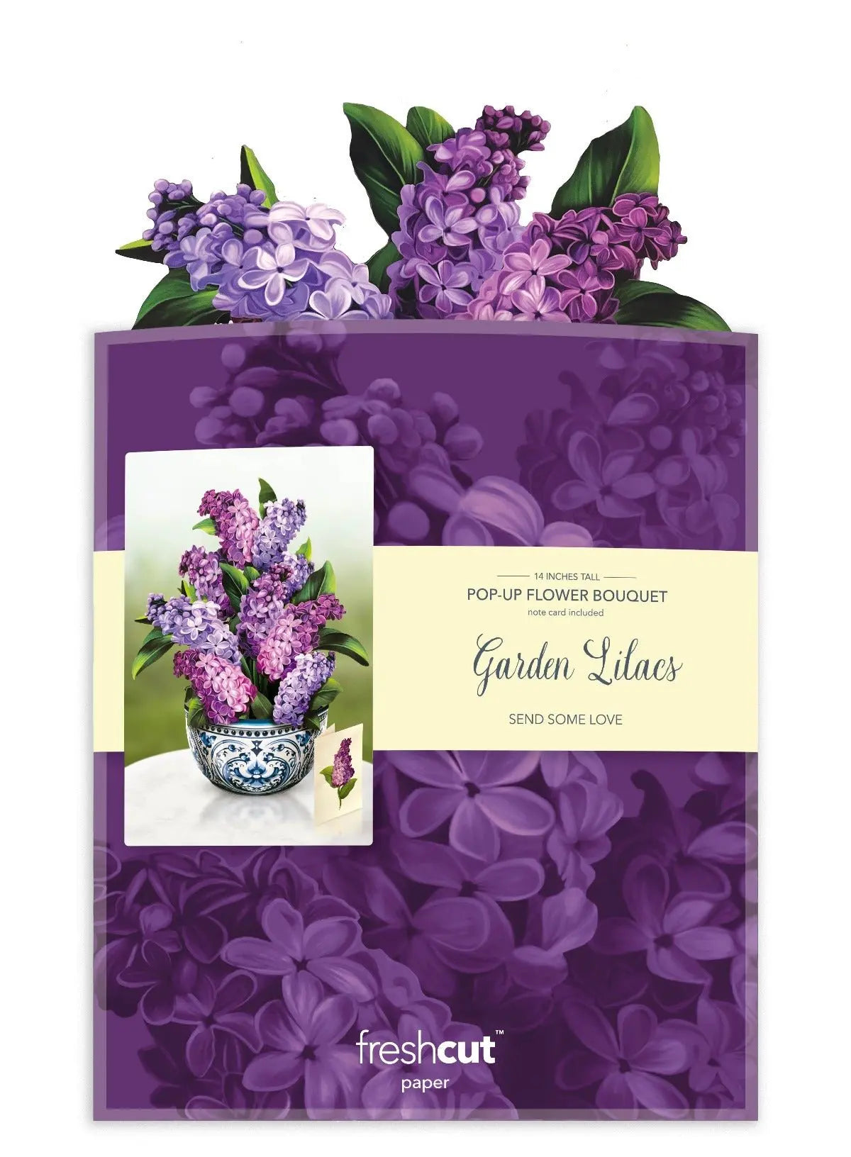 POPUP Garden Lilacs