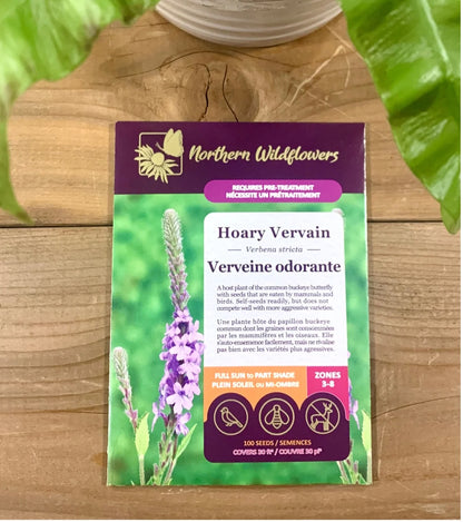Seeds Hoary Vervain