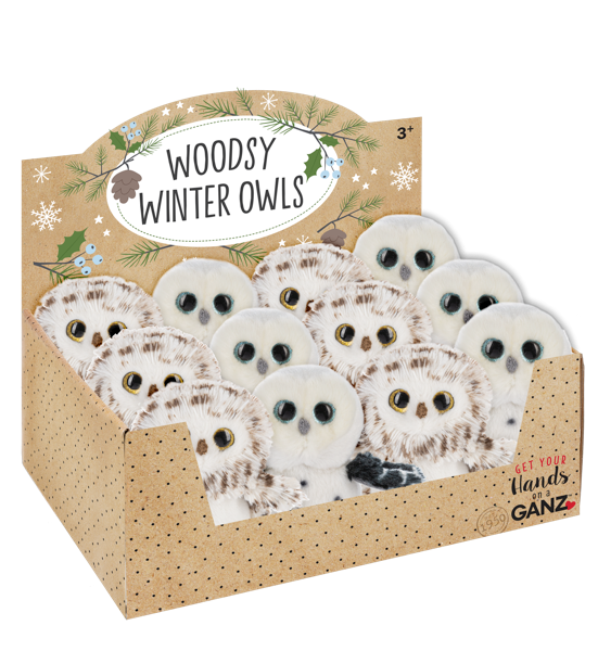 Woodsy Winter Owls