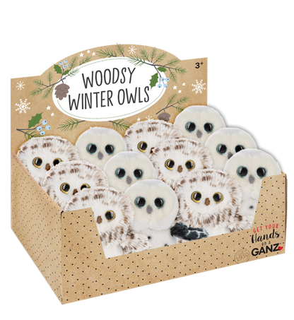 Woodsy Winter Owls