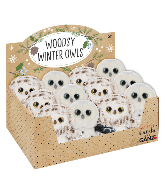Woodsy Winter Owls