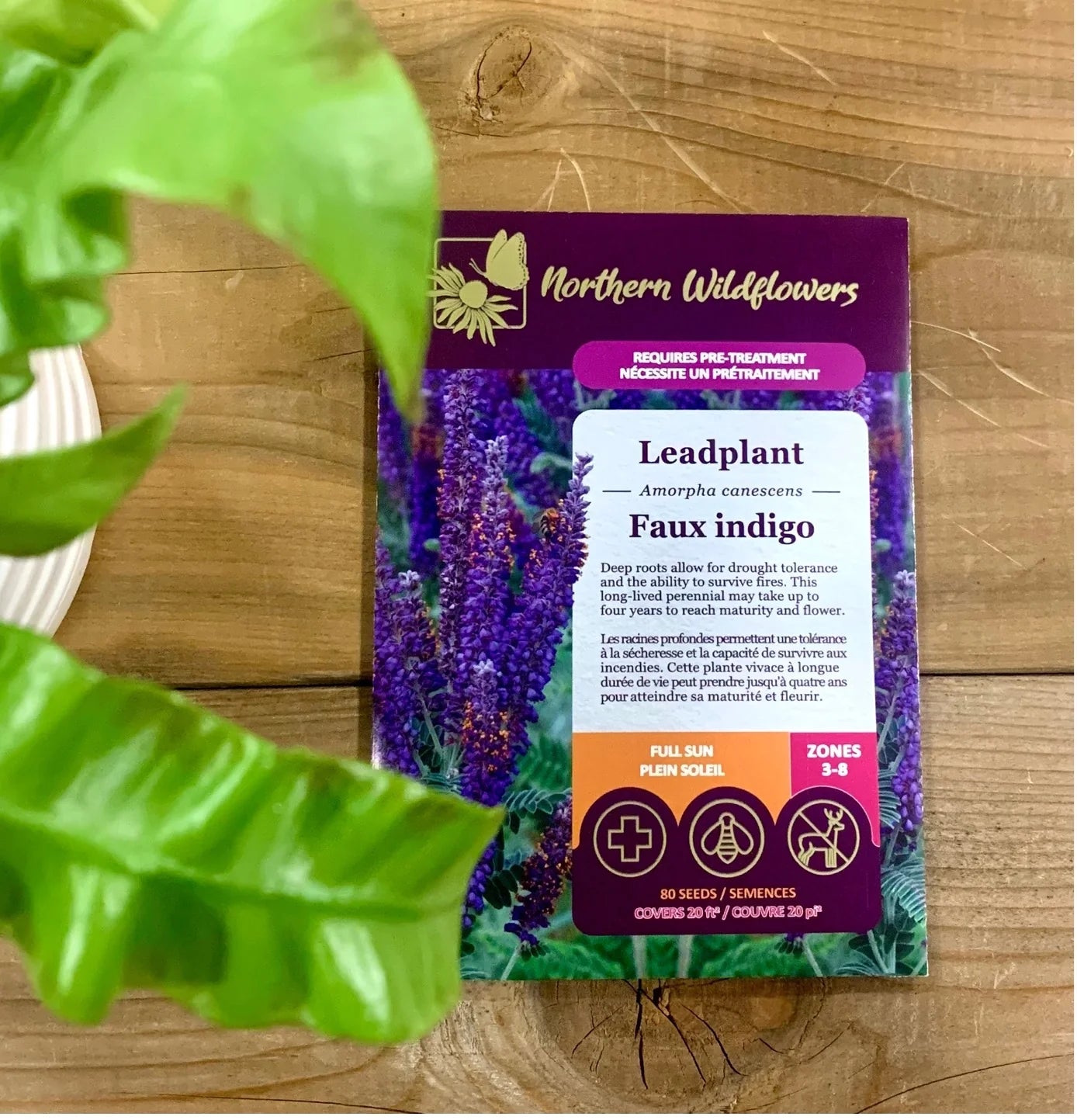 Seeds Leadplant