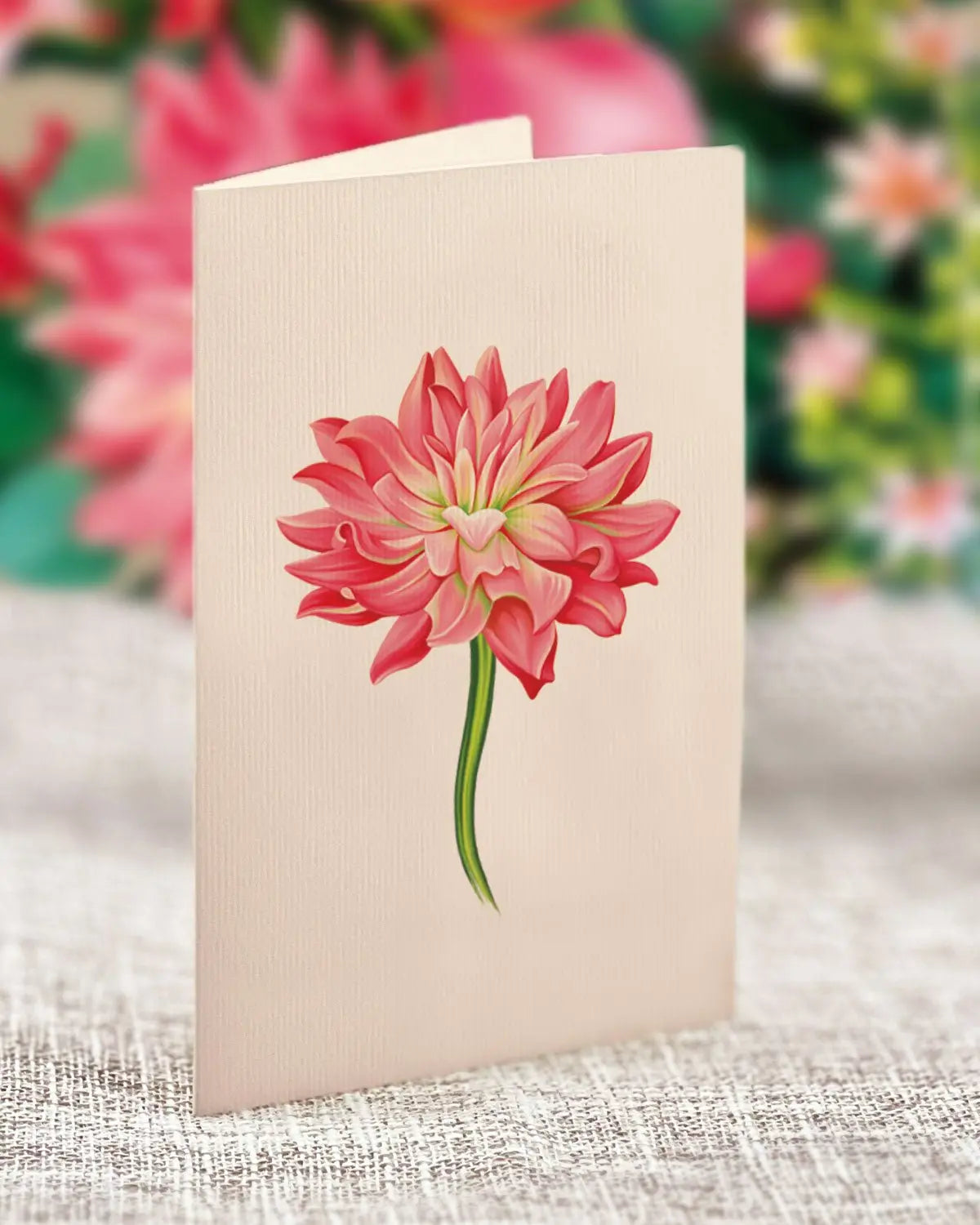 POPUP Dear Dahlia