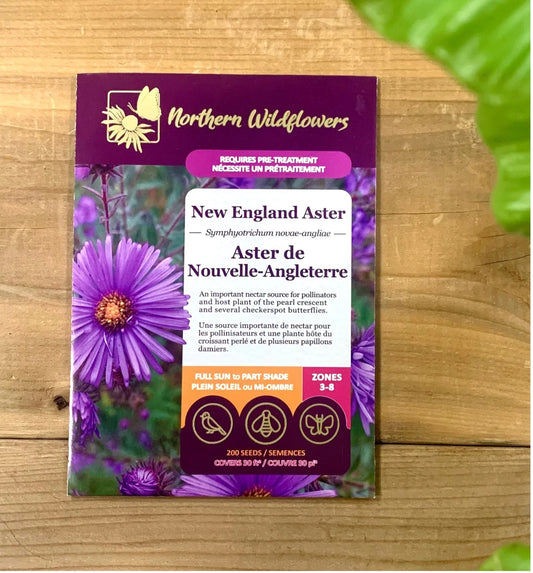 Seeds New England Aster