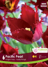 Load image into Gallery viewer, Bulb, Tulip, Pacific Pearl
