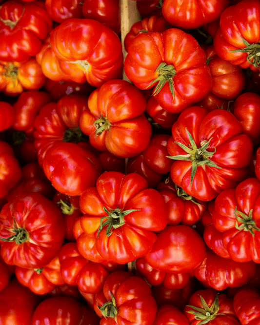 4 Inch Beefsteak Tomato