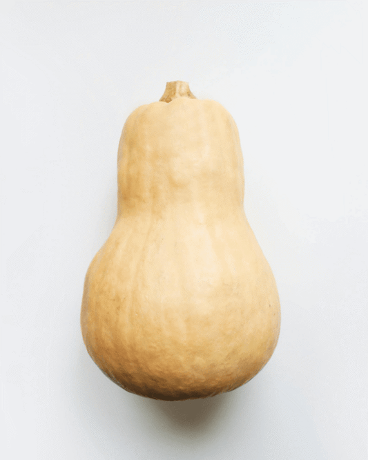 4 Inch Butternut Squash
