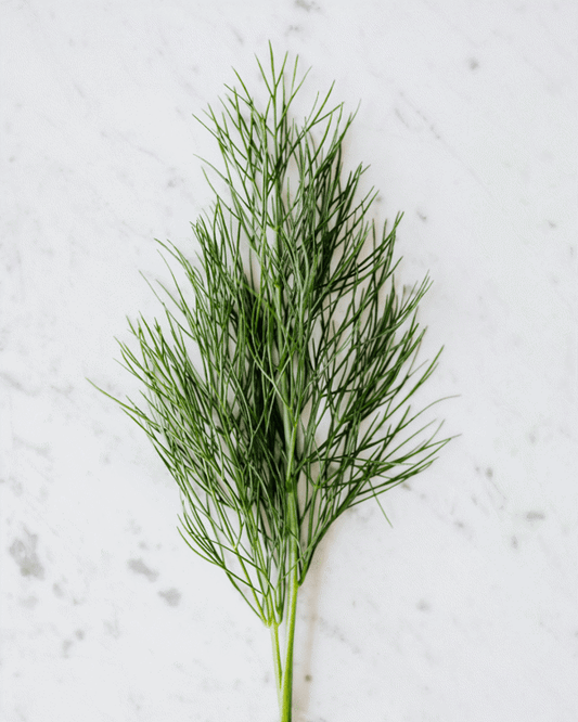 4 Inch Dill