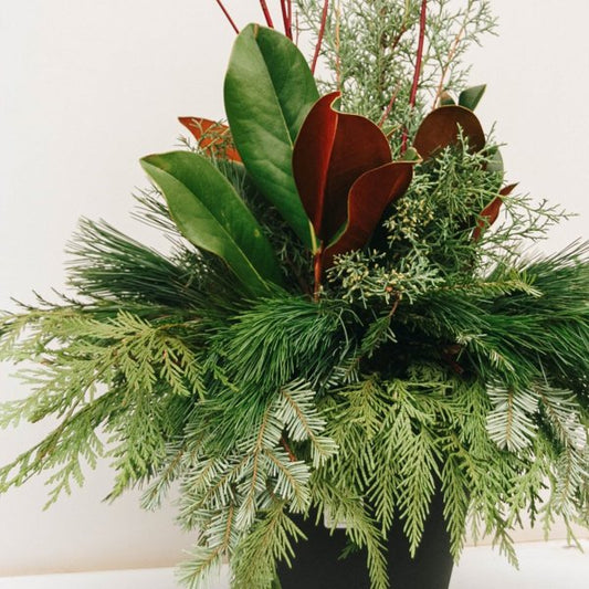 Fancy Greens & Dogwood Winter Porch Pot - 10" Patio Pot