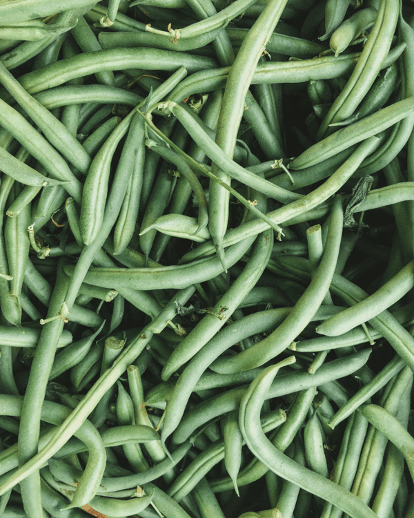 4 Inch Green Bean
